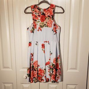 Sky Blue & Rose Print Dress